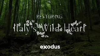 Thumbnail: Restoring Italy's Wild Heart