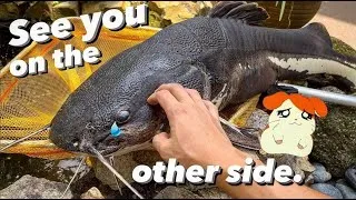 Thumbnail: RIP, big girl.