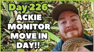 Thumbnail: The Builds Are Getting Real! Arid Enclosures & Ackie Monitor Move-In | Animal Encounters  Vlog Ep.14