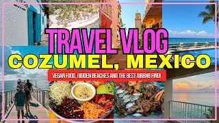 Thumbnail: COZUMEL MEXICO FAMILY TRAVEL VLOG  - VEGAN FOOD, HIDDEN BEACHES THE MOST EPIC VIEW AIRBNB FIND!