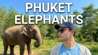 Thumbnail: Phuket Highlights: Elephant Sanctuaries and Island Hopping