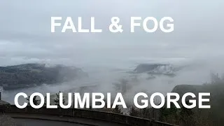 Thumbnail: Chasing Waterfalls in the Columbia Gorge (A Cozy Fall Trip)