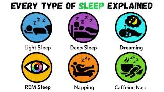Thumbnail: Every Type Of Sleep Explained