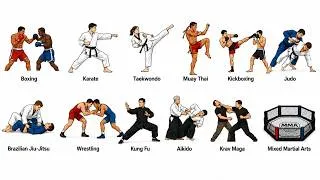 Thumbnail: Every Fighting Style Explained