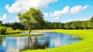 Thumbnail: Thumper Pond Resort