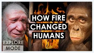 Thumbnail: How humans tamed fire  | How fire changed humanity  | EXPLORE MODE