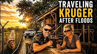 Thumbnail: Traveling Kruger after floods : Tamboti Tented Camp - Kruger National Park 2026 | ep4