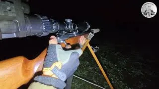 Thumbnail: EPIC Night Hunt: Catching TWO Foxes in One Thrilling Adventure!