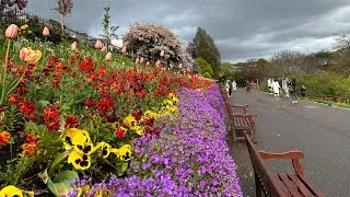 Thumbnail: Exploring the Beauty of Spring in Edinburgh: Top Attractions & Hidden Gems| Edinburgh, Scotland