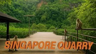 Thumbnail: Nature side of Singapore | Singapore Quarry Trekking Adventure