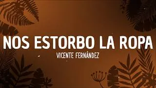 Thumbnail: Vicente Fernández - Nos Estorbo la Ropa (Letra)