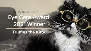 Thumbnail: Eye Care Awards Ceremony: Truffles the Kitty