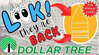 Thumbnail: 81½ Dollar Tree Shower Caddy Organization Hacks for Every Room in Your Home