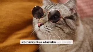 Thumbnail: The Purr-fect World of Cats