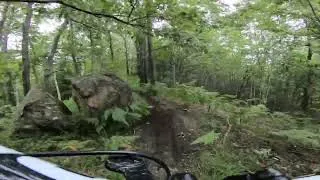 Thumbnail: Mountain bike trails Italy Serra Morenica di Ivrea mtb biking single track in the woods sound peace