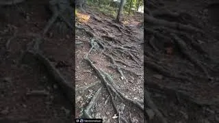 Thumbnail: Nature sound walk outdoors lake outside active life outdoor travel summer holiday northern Italy