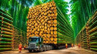 Thumbnail: How Bamboo Is Cut, Split and Laminated — The Grass That Grows 36 Inches in a Single Day