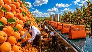 Thumbnail: How Millions of Apricots Become Luxury Leather Bags | Full Factory Process