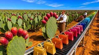 Thumbnail: How Millions of Cactus Plants Become Luxury Leather Bags | Full Factory Process