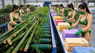 Thumbnail: How Billions of Bamboo Trees Become Soft Towels | Full Factory Process