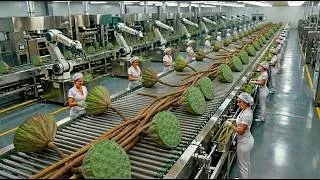 Thumbnail: Inside a Modern Lotus Factory – From Muddy Plant to Seeds & Luxury Silk (Full Process)