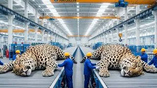 Thumbnail: The 100,000 transformation how raw leopard hides become luxury icons mega factory insights
