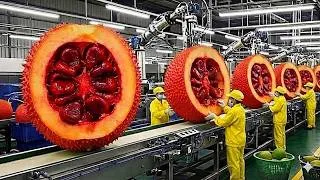 Thumbnail: Inside the Gac Oil Factory: The Incredible Process You've Never Seen (Full Process)