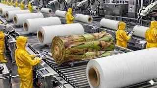 Thumbnail: Inside The Largest Modern Banana Stem Factory & Toilet Paper Production Process (Full Process)
