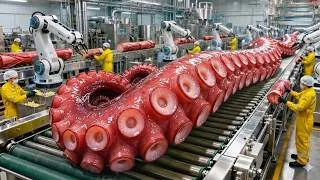 Thumbnail: Produce 2,000KG at a time: Parboiled Octopus Mass Production - USA Seafood Factory (Full Process)
