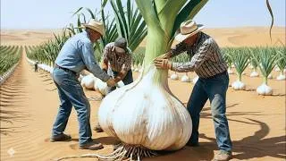 Thumbnail: Arabian Desert Garlic Farming: Learn the Amazing Technique That Works Elsewhere Too