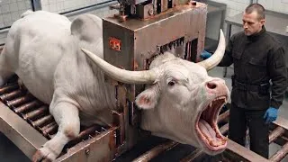 Thumbnail: Inside the World's Largest Brahman Bull Horn Factory | From Raw Bull Horns to Luxury Products