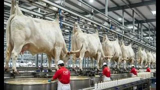Thumbnail: How Shampoo is Made in a Factory | Step by Step Process