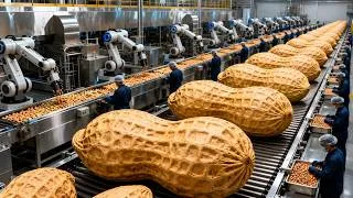 Thumbnail: Inside the Modern Peanut China Factory: From Raw Peanuts to Roasted Snack Packs (Full Process)