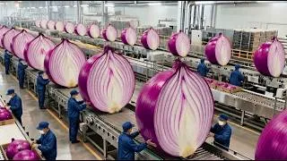 Thumbnail: Inside the Largest China Factory: From Raw Onions to Premium Powder (Full Process)