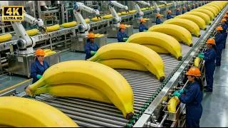 Thumbnail: Inside the 599,000 LB Banana Factory – The SATISFYING Rising of Modern Industrial Loaf Production