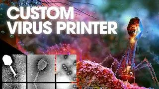 Thumbnail: Scientists Custom Print 16 Never-Before-Seen Real-World Viruses