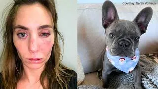 Thumbnail: Are French Bulldogs the Perfect Companion for Your Family?