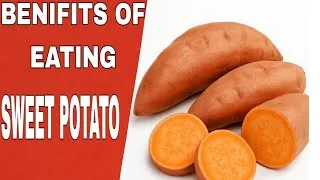 Thumbnail: Top 5 Health Benefits of Eating Sweet Potatoes | Superfood Nutrition Explained | Fact Zone creator