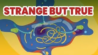 Thumbnail: Your Health Depends on Cells Dying