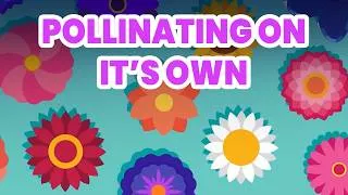 Thumbnail: The Flower That Doesn't Need Bees