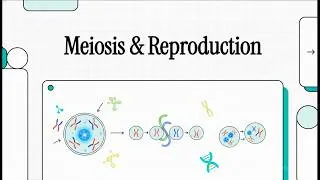 Thumbnail: Lesson 2 (Module 9): Meiosis and Sexual Reproduction | Biology Grade 9 Advanced