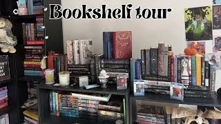 Thumbnail: Bookshelf tour🌙(over 400 books)