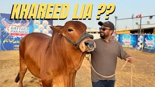 Thumbnail: Khareed Liya? | Mandi 2025 | Faisal Iqbal