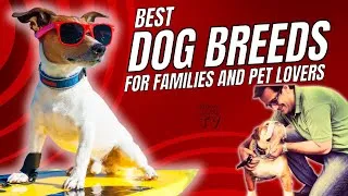 Thumbnail: Top 10 Dog Breeds | Best Dogs for Families & Pet Lovers (2025)