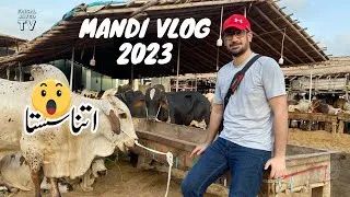 Thumbnail: Cow Mandi 2023 Malir | Mandi Vlog | Faisal Javed TV