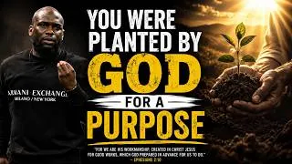 Thumbnail: WE'RE ALL PLANTED BY GOD WITH PURPOSE / Philip Anthony Mitchell
