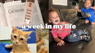 Thumbnail: Life Lately 🤍 A Quiet Week, Bible Study & Why I'm Taking a Week Off