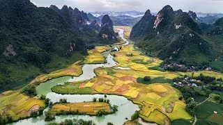 Thumbnail: Relaxing Forest River Sounds in 4K Crystal Clear Waterfall Ambience for Sleep, Study & Relaxation