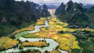 Thumbnail: 1 Hour 4K Relaxing Stream Sounds in Nature | Peaceful Water Flow Ambience | No Music