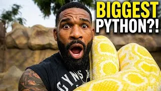 Thumbnail: GIANT Constrictor vs. Mike Holston 😳🐍